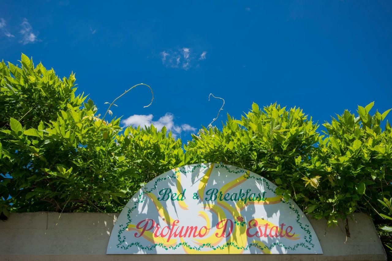 Bed & Breakfast Profumo D'Estate Agliana Exterior foto